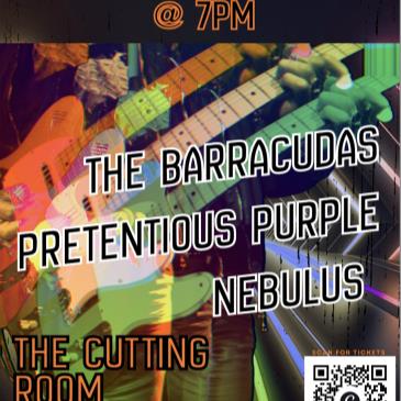 The Barracudas/Pretentious Purple/Nebulus